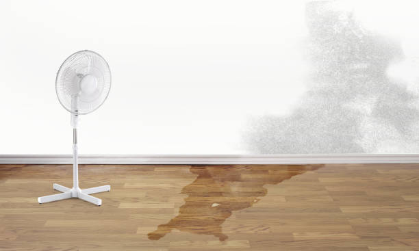  Derry, PA Water damage restoration Pros