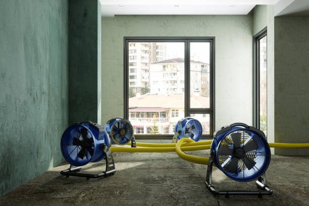 Best 24-hour water damage restoration  in Derry, PA