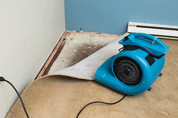 Best Flood restoration services  in Derry, PA